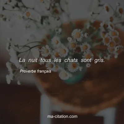 Proverbe franÃ§ais : La nuit tous les chats sont gris.