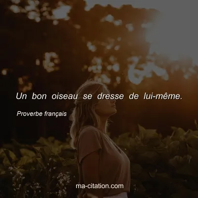 Proverbe franÃ§ais : Un bon oiseau se dresse de lui-mÃªme.