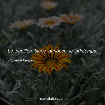 Proverbe franÃ§ais : Le papillon blanc annonce le printemps.