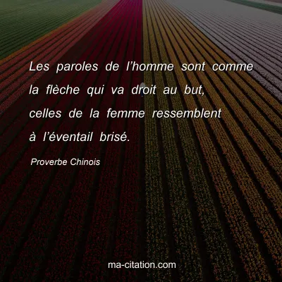 Proverbe Chinois : Les paroles de lâ€™homme sont comme la flÃ¨che qui va droit au but, celles de la femme ressemblent Ã  lâ€™Ã©ventail brisÃ©.