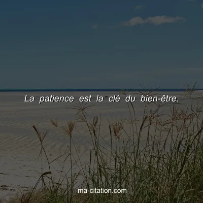 La patience est la clÃ© du bien-Ãªtre.