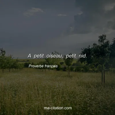 Proverbe franÃ§ais : A petit oiseau, petit nid.