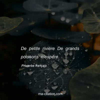 Proverbe franÃ§ais : De petite riviÃ¨re De grands poissons n'espÃ¨re.