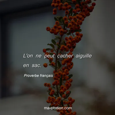 Proverbe franÃ§ais : L'on ne peut cacher aiguille en sac.