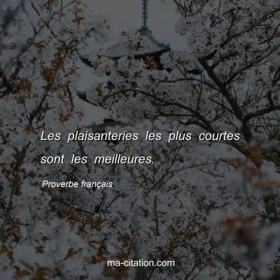 Proverbe franÃ§ais : Les plaisanteries les plus courtes sont les meilleures.