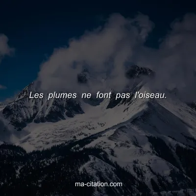 Les plumes ne font pas l'oiseau.