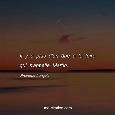 Proverbe franÃ§ais : Il y a plus d'un Ã¢ne Ã  la foire qui s'appelle Martin.