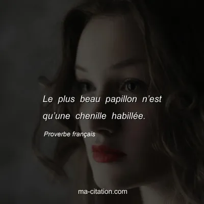 Proverbe franÃ§ais : Le plus beau papillon nâ€™est quâ€™une chenille habillÃ©e.