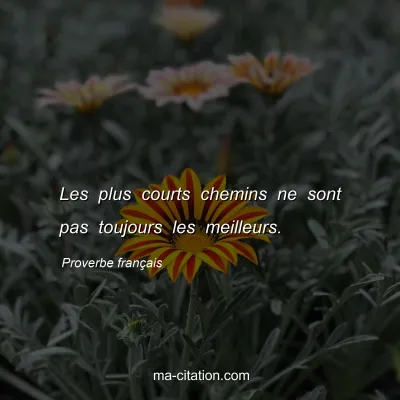 Proverbe franÃ§ais : Les plus courts chemins ne sont pas toujours les meilleurs.