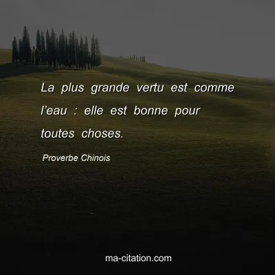 Proverbe Chinois : La plus grande vertu est comme lâ€™eau : elle est bonne pour toutes choses.