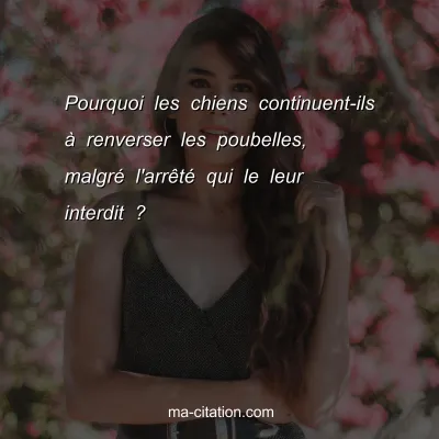 Pourquoi les chiens continuent-ils Ã  renverser les poubelles, malgrÃ© l'arrÃªtÃ© qui le leur interdit ?