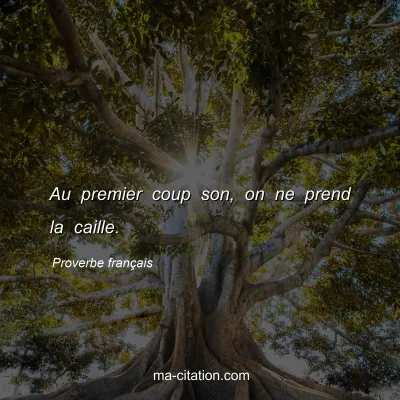 Proverbe franÃ§ais : Au premier coup son, on ne prend la caille.