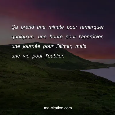 Ã‡a prend une minute pour remarquer quelqu'un, une heure pour l'apprÃ©cier, une journÃ©e pour l'aimer, mais une vie pour l'oublier.