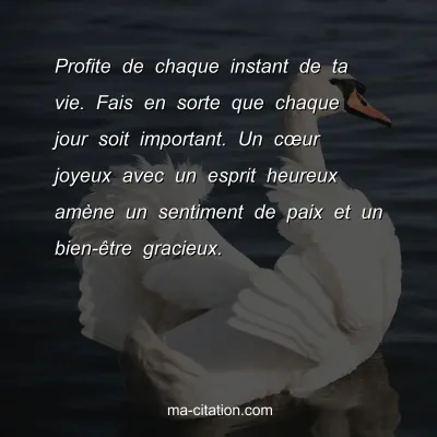 Profite de chaque instant de ta vie. Fais en sorte que chaque jour soit important. Un cÅ“ur joyeux avec un esprit heureux amÃ¨ne un sentiment de paix et un bien-Ãªtre gracieux.