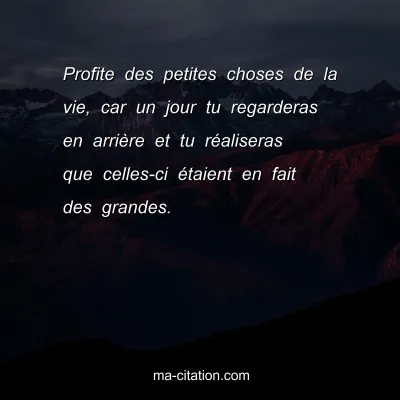 Profite des petites choses de la vie, car un jour tu regarderas en arriÃ¨re et tu rÃ©aliseras que celles-ci Ã©taient en fait des grandes.