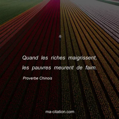 Proverbe Chinois : Quand les riches maigrissent, les pauvres meurent de faim.