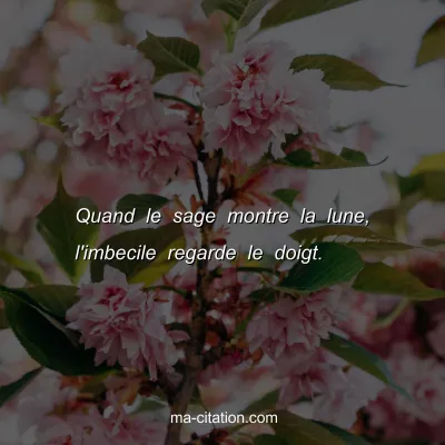 Quand le sage montre la lune, l'imbecile regarde le doigt.