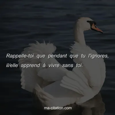 Rappelle-toi que pendant que tu l'ignores, il/elle apprend Ã  vivre sans toi.