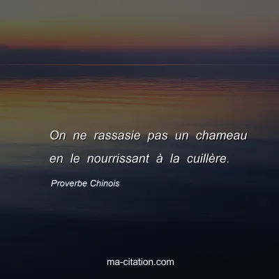 Proverbe Chinois : On ne rassasie pas un chameau en le nourrissant Ã  la cuillÃ¨re.