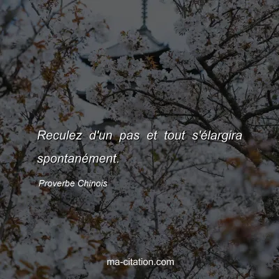 Proverbe Chinois : Reculez d'un pas et tout s'Ã©largira spontanÃ©ment.