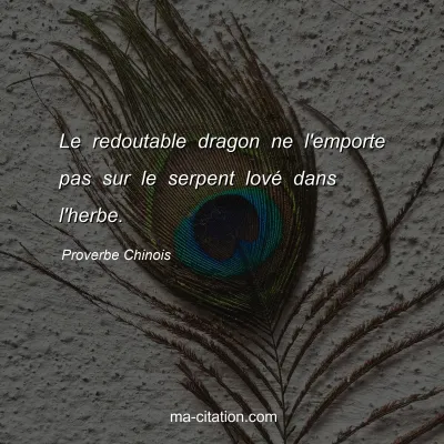 Proverbe Chinois : Le redoutable dragon ne l'emporte pas sur le serpent lovÃ© dans l'herbe.