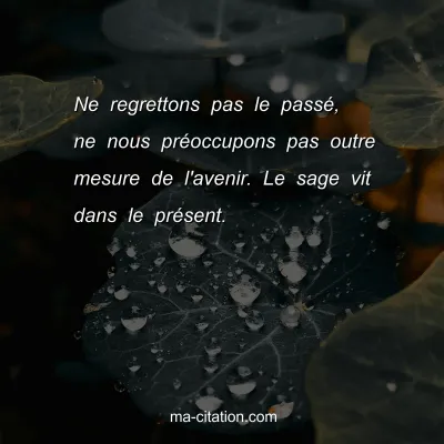 Ne regrettons pas le passÃ©, ne nous prÃ©occupons pas outre mesure de l'avenir. Le sage vit dans le prÃ©sent. 