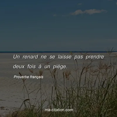 Proverbe franÃ§ais : Un renard ne se laisse pas prendre deux fois Ã  un piÃ¨ge.