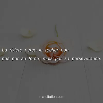 La riviere perce le rocher non pas par sa force, mais par sa persÃ©vÃ©rance.