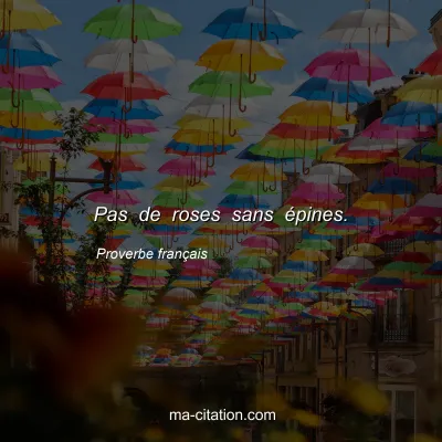 Proverbe franÃ§ais : Pas de roses sans Ã©pines.