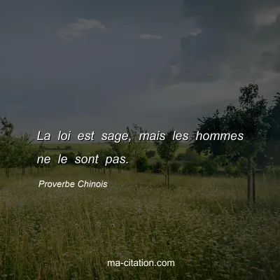 Proverbe Chinois : La loi est sage, mais les hommes ne le sont pas.