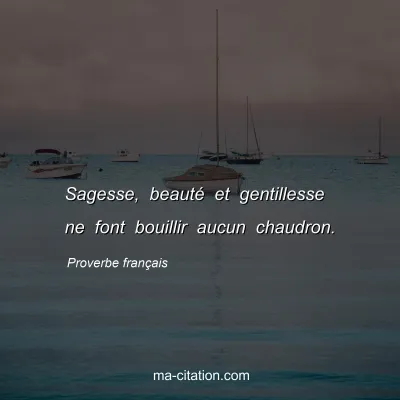 Proverbe franÃ§ais                  
              : Sagesse, beautÃ© et gentillesse ne font bouillir aucun chaudron.