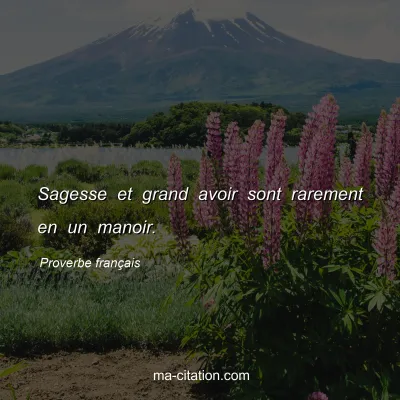 Proverbe franÃ§ais : Sagesse et grand avoir sont rarement en un manoir.