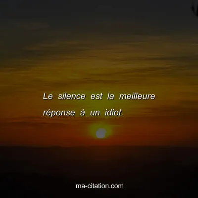 Le silence est la meilleure rÃ©ponse Ã  un idiot.