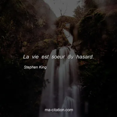Stephen King : La vie est soeur du hasard.