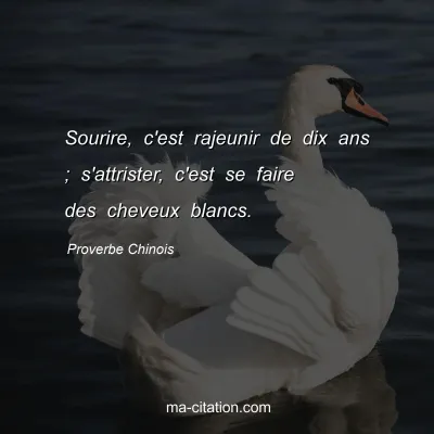 Proverbe Chinois : Sourire, c'est rajeunir de dix ans ; s'attrister, c'est se faire des cheveux blancs.