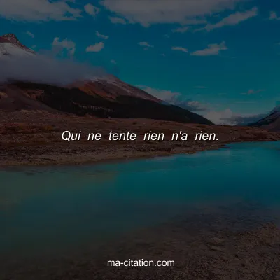 Qui ne tente rien n'a rien.