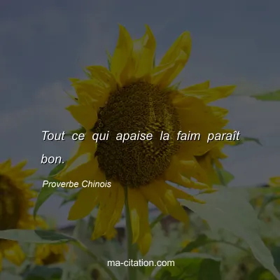 Proverbe Chinois : Tout ce qui apaise la faim paraÃ®t bon.