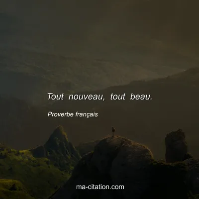 Proverbe franÃ§ais : Tout nouveau, tout beau.