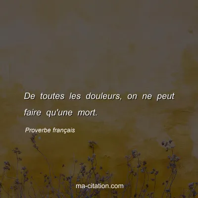 Proverbe franÃ§ais : De toutes les douleurs, on ne peut faire qu'une mort.