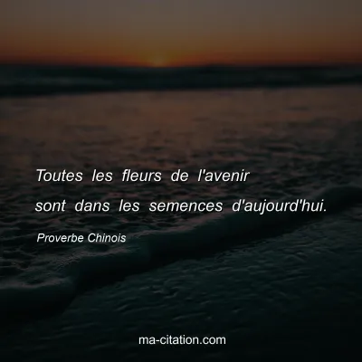 Proverbe Chinois : Toutes les fleurs de l'avenir sont dans les semences d'aujourd'hui.