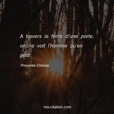 Proverbe Chinois : A travers la fente dâ€™une porte, on ne voit lâ€™homme quâ€™en petit.