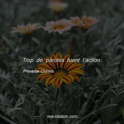 Proverbe Chinois : Trop de paroles tuent lâ€™action.