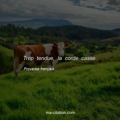 Proverbe franÃ§ais : Trop tendue, la corde casse.