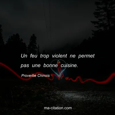 Proverbe Chinois : Un feu trop violent ne permet pas une bonne cuisine.