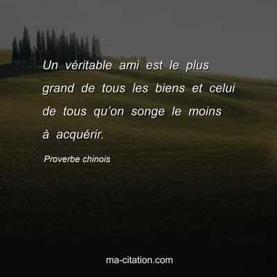 Proverbe chinois : Un vÃ©ritable ami est le plus grand de tous les biens et celui de tous quâ€™on songe le moins Ã  acquÃ©rir.