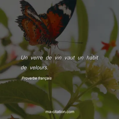 Proverbe franÃ§ais : Un verre de vin vaut un habit de velours.