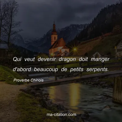 Proverbe Chinois : Qui veut devenir dragon doit manger d'abord beaucoup de petits serpents.