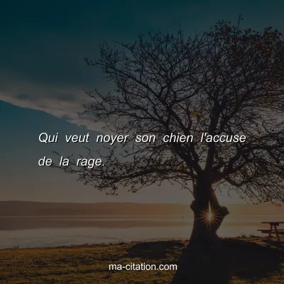 Qui veut noyer son chien l'accuse de la rage.