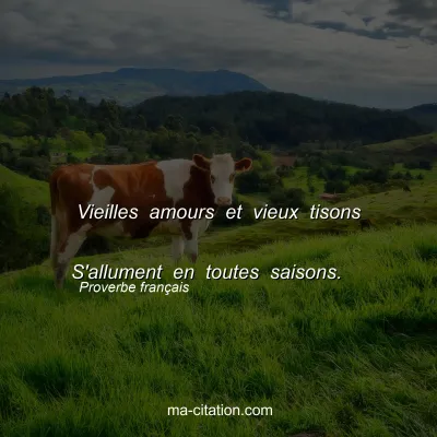 Proverbe franÃ§ais : Vieilles amours et vieux tisons 
S'allument en toutes saisons.