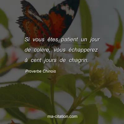 Proverbe Chinois : Si vous Ãªtes patient un jour de colÃ¨re, vous Ã©chapperez Ã  cent jours de chagrin.